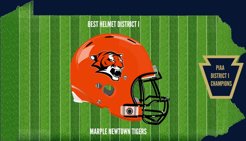 District 1 Champion Helmet MN