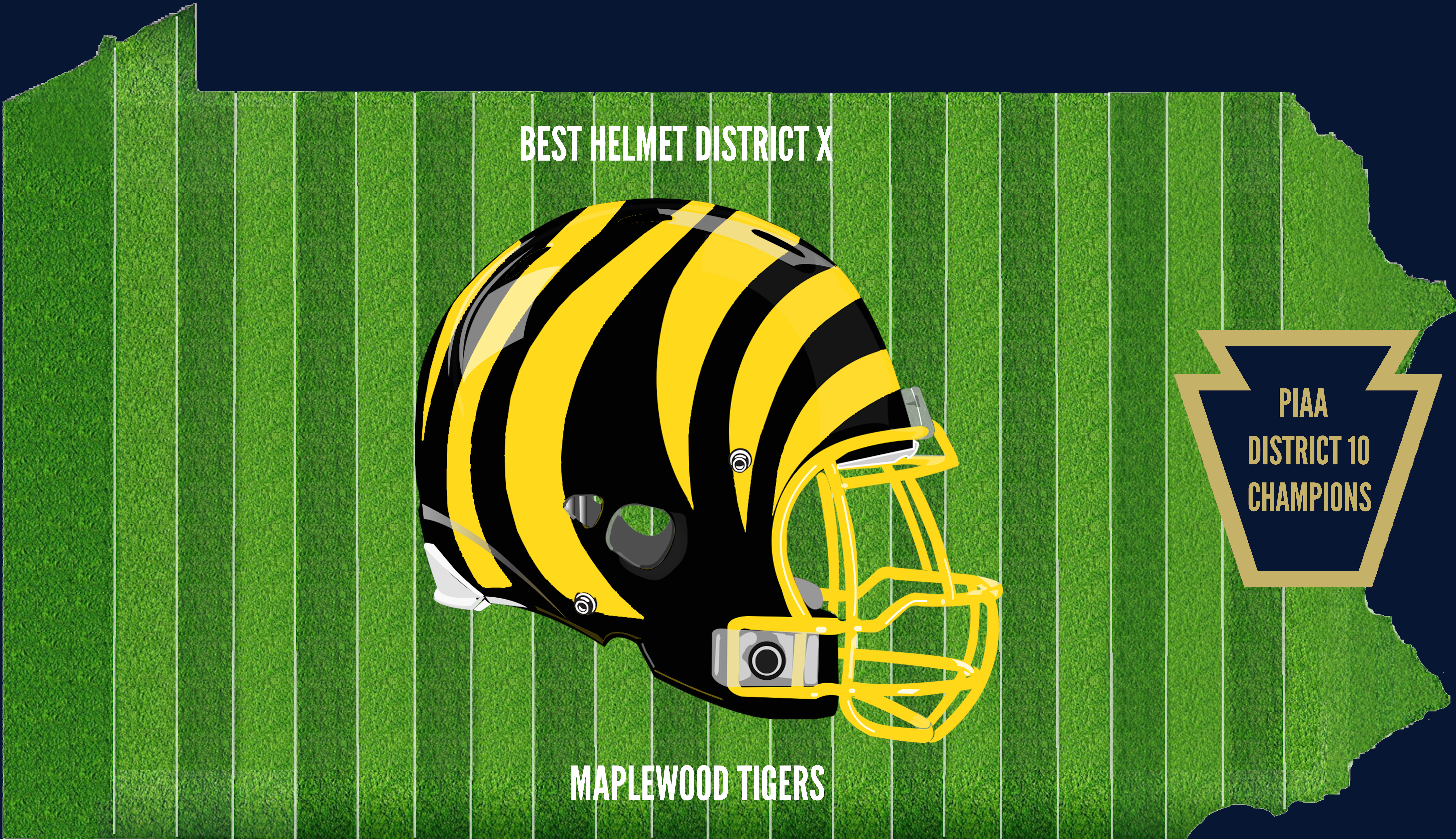 District 10 Champion Helmet