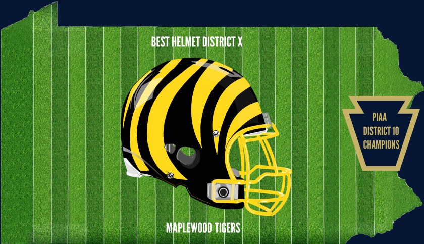 District 10 Champion Helmet