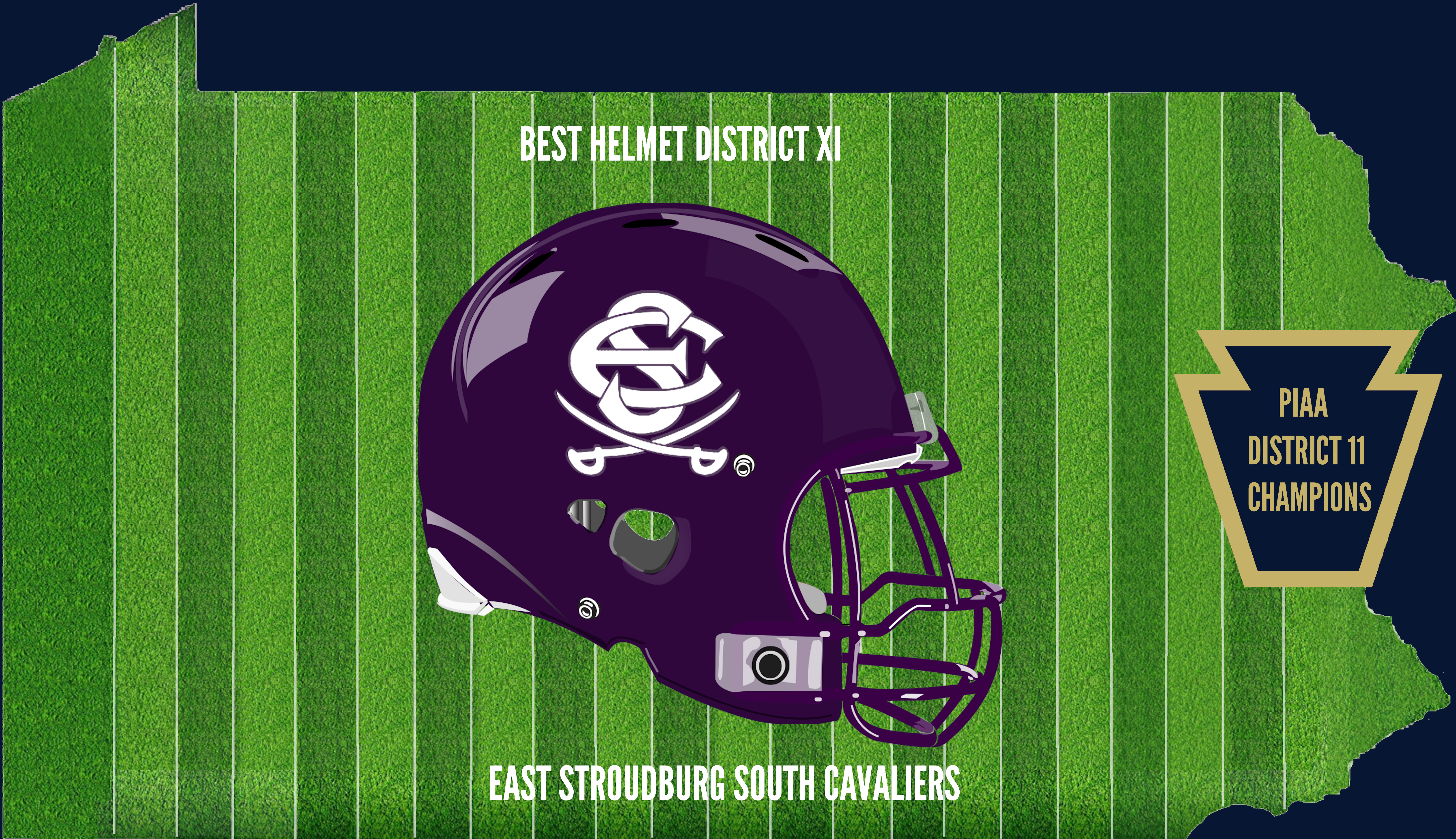 District 11 Champion Helmet (1)
