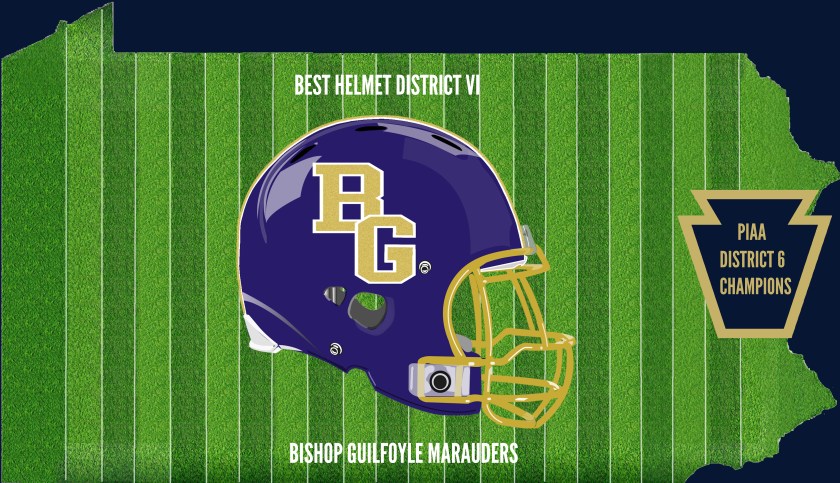 District 6 Champion Helmet